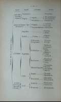 Pag. 34