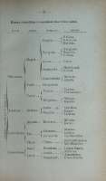 Pag. 35