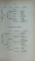 Pag. 37