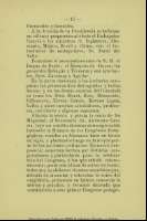 Pag. 19