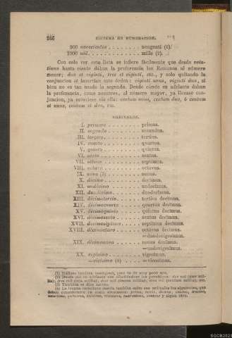 Página 246