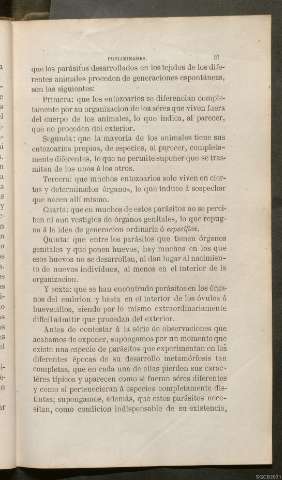 Página 37