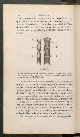 Página 164