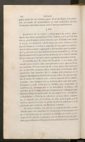 Página 356