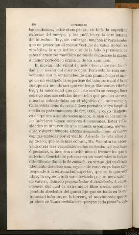 Página 198