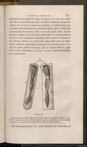 Página 245