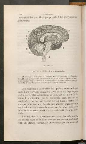 Página 338