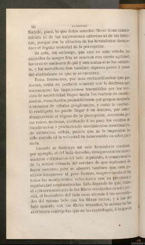 Página 340