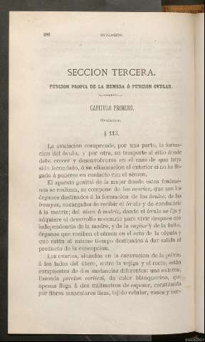 Página 386