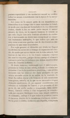 Página 391