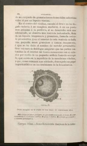 Página 392