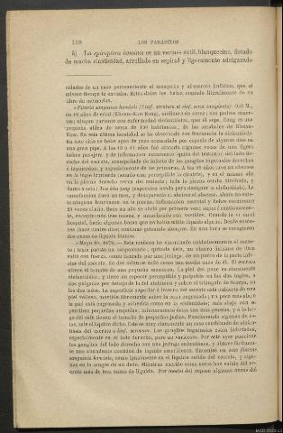 Página 118