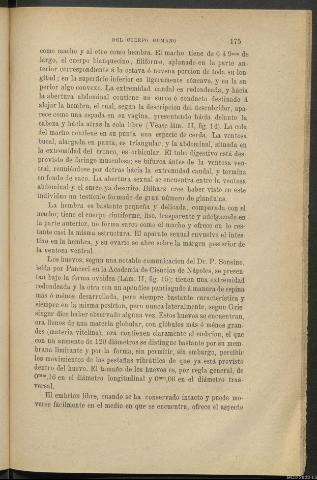 Página 175