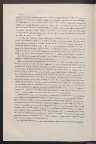 Página CXXIV