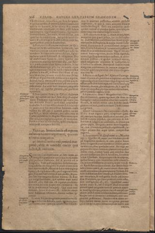 Página 226