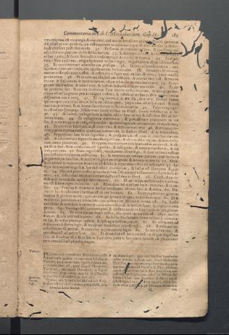 Página 185