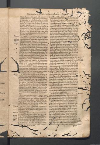 Página 197