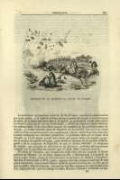 Pag. 149