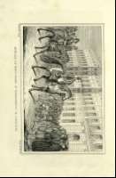 Pag. 436