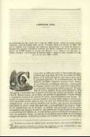 Pag. 439