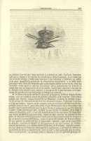 Pag. 509
