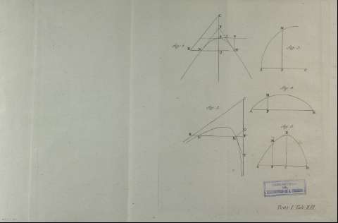 Tab. XII