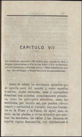 CAPÍTULO VII