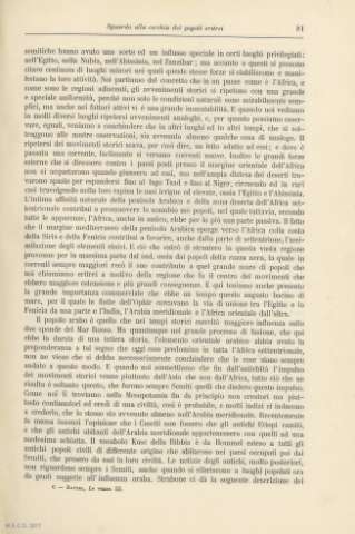 81