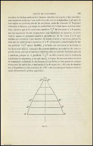 Página 383