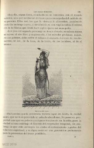 Página 0229