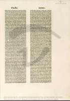 73