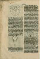 250