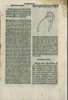 291