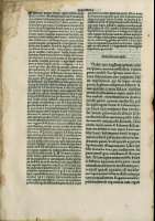 292