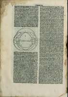 294