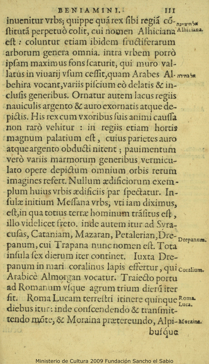 Pag. 115