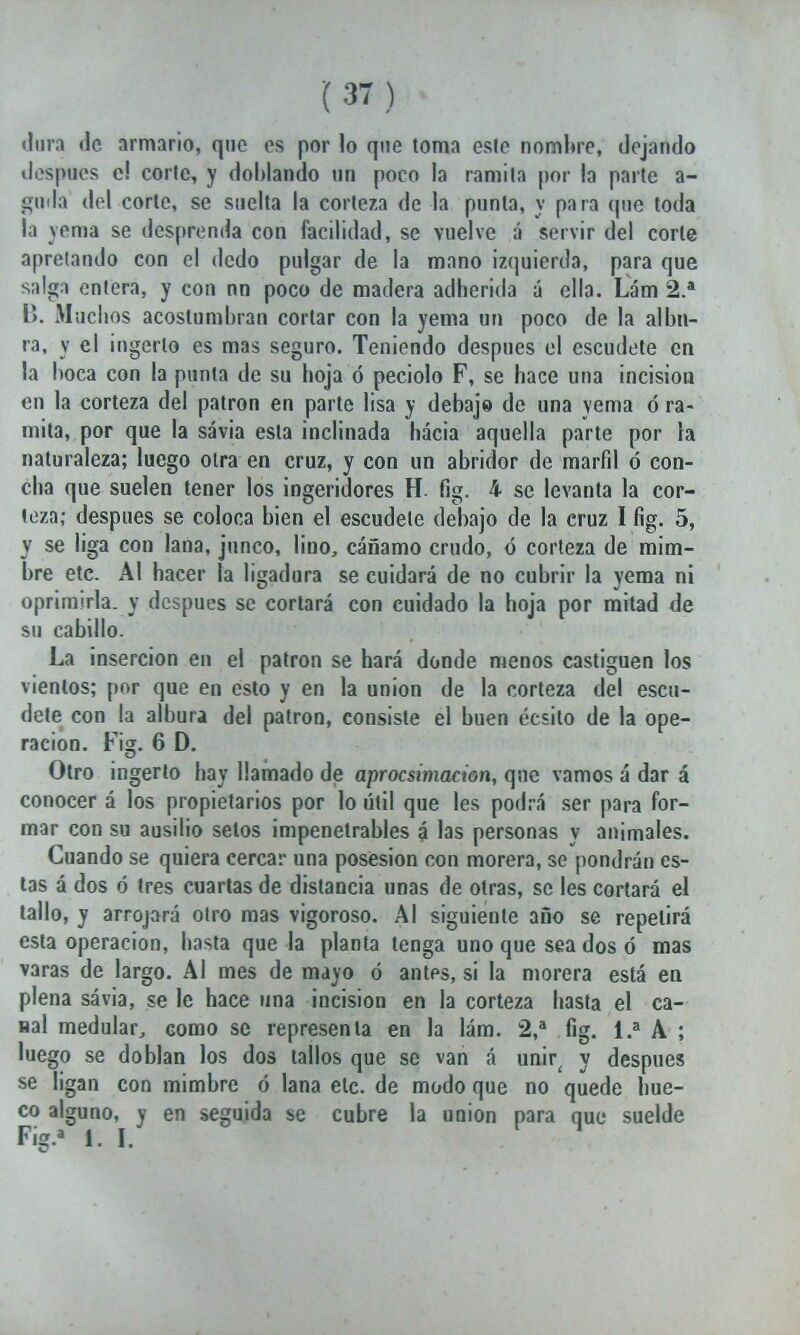 Pag. 37