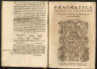 (H_5_85_4)_Pragmatica sobre la orden que se ha de guardar en la reformacion y cuenta del año