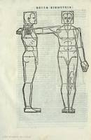 117v