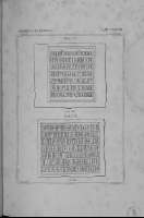 A XXVIII