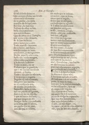 Página 316