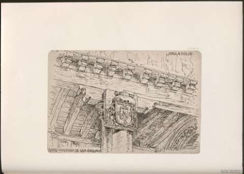 Plate 6