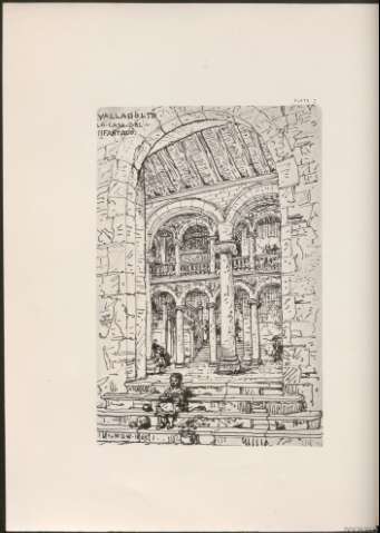 Plate 7