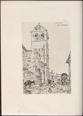 Plate 8