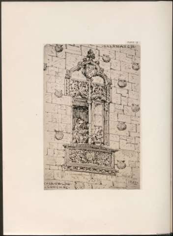 Plate 19