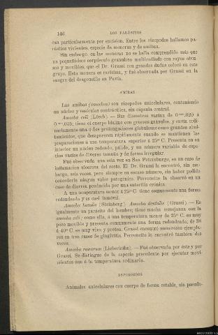 Página 146