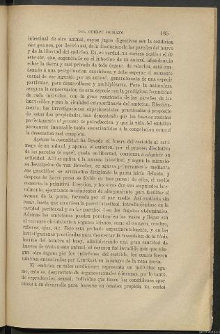 Página 185