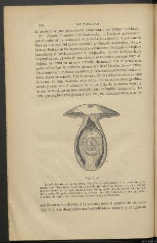 Página 186