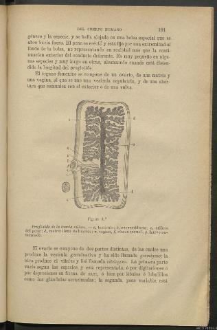 Página 191