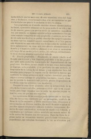Página 195
